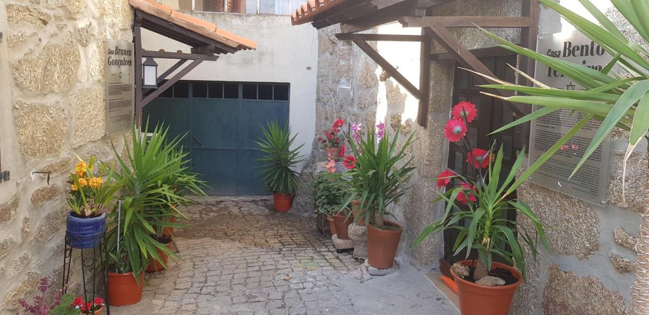 Branca Gonçalves Belmonte Belmonte (Castelo Branco) Exterior foto