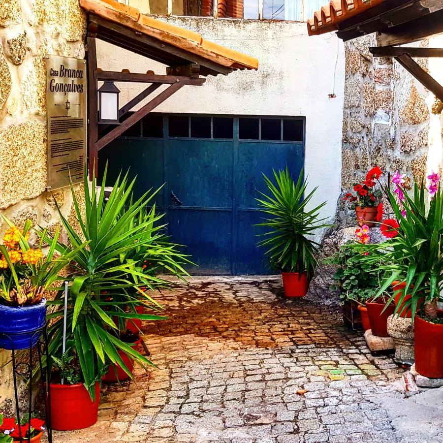 Branca Gonçalves Belmonte Belmonte (Castelo Branco) Exterior foto