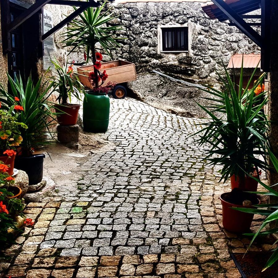 Branca Gonçalves Belmonte Belmonte (Castelo Branco) Exterior foto