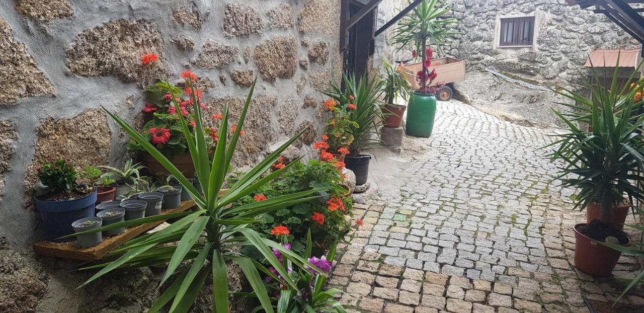 Branca Gonçalves Belmonte Belmonte (Castelo Branco) Exterior foto