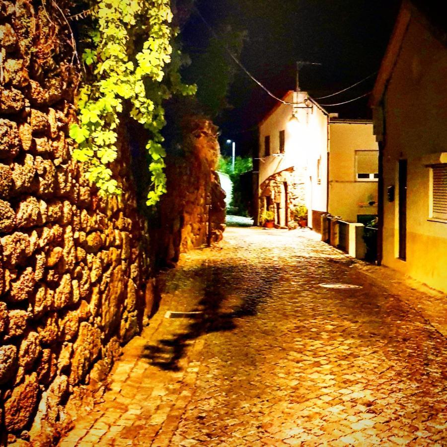 Branca Gonçalves Belmonte Belmonte (Castelo Branco) Exterior foto